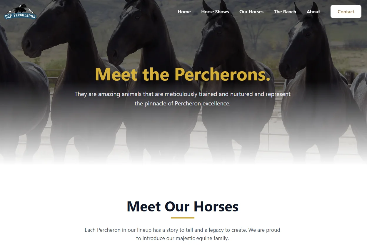 CCP Percherons